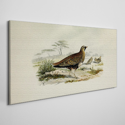 Tableau imprimé sur toile Oiseaux Animaux sauvages