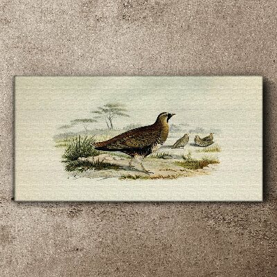 Tableau imprimé sur toile Oiseaux Animaux sauvages