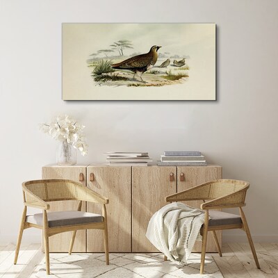 Tableau imprimé sur toile Oiseaux Animaux sauvages