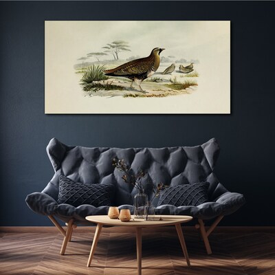 Tableau imprimé sur toile Oiseaux Animaux sauvages