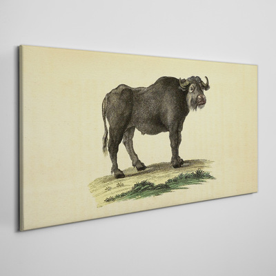 Tableau sur toile Buffle sur fond naturel
