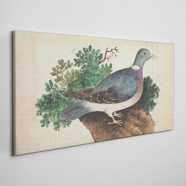 Tableau toile imprimée Un pigeon sur fond vert