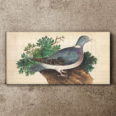 Tableau toile imprimée Un pigeon sur fond vert
