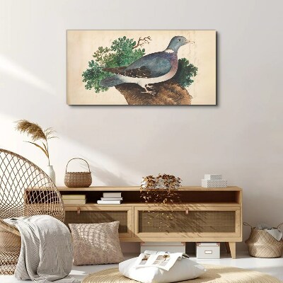 Tableau toile imprimée Un pigeon sur fond vert