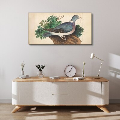 Tableau toile imprimée Un pigeon sur fond vert