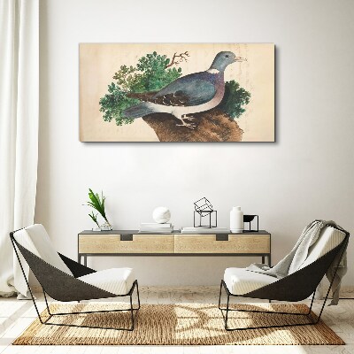 Tableau toile imprimée Un pigeon sur fond vert