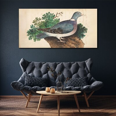 Tableau toile imprimée Un pigeon sur fond vert