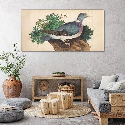 Tableau toile imprimée Un pigeon sur fond vert