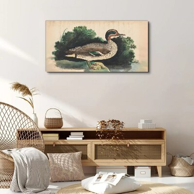 Tableau sur toile Un canard entouré de verdure