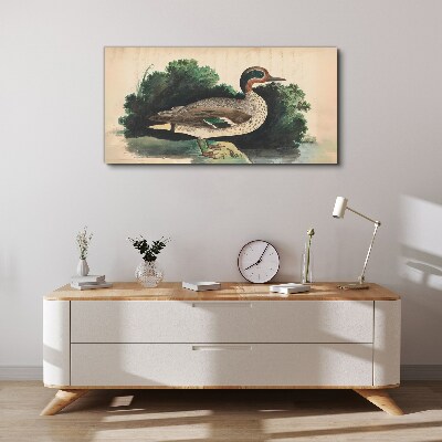 Tableau sur toile Un canard entouré de verdure