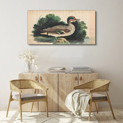 Tableau sur toile Un canard entouré de verdure