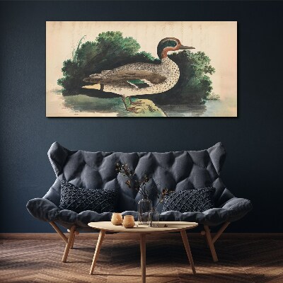 Tableau sur toile Un canard entouré de verdure