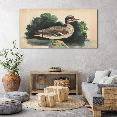 Tableau sur toile Un canard entouré de verdure