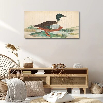 Tableau toile imprimée Un canard sur fond vert
