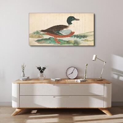 Tableau toile imprimée Un canard sur fond vert