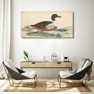 Tableau toile imprimée Un canard sur fond vert