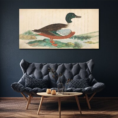 Tableau toile imprimée Un canard sur fond vert