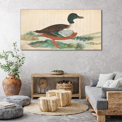 Tableau toile imprimée Un canard sur fond vert