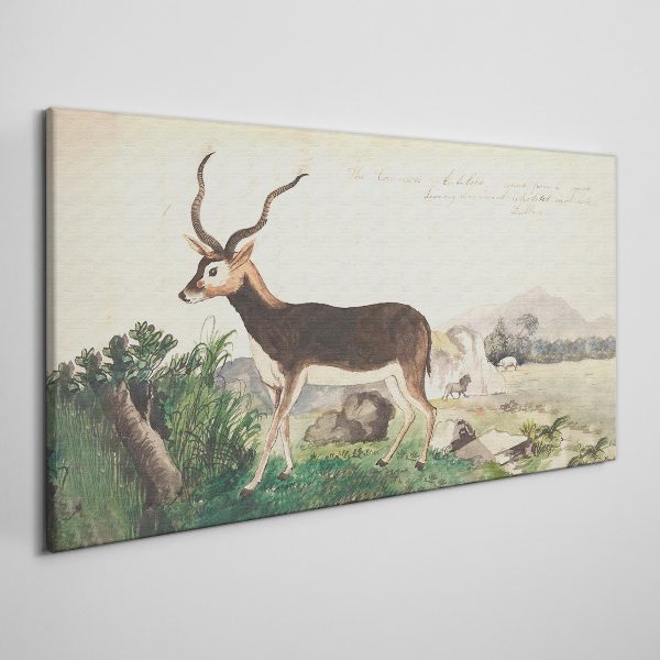 Tableau toile imprimée Antilope dans le paysage