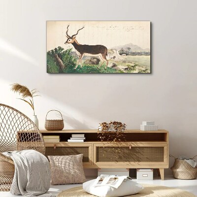 Tableau toile imprimée Antilope dans le paysage