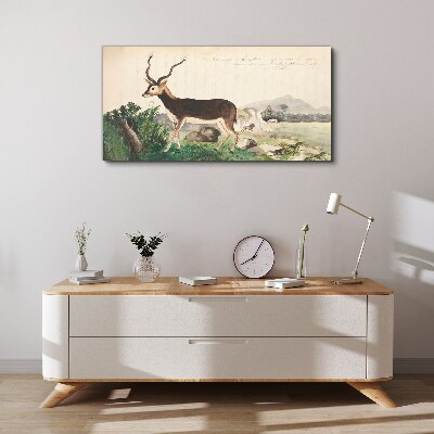 Tableau toile imprimée Antilope dans le paysage