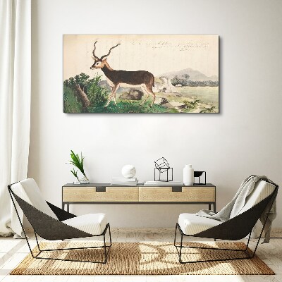 Tableau toile imprimée Antilope dans le paysage