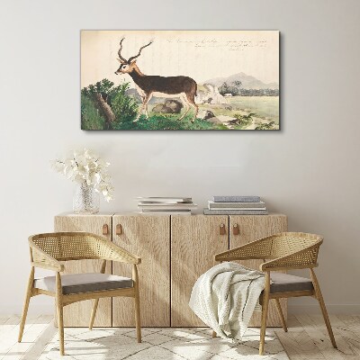 Tableau toile imprimée Antilope dans le paysage