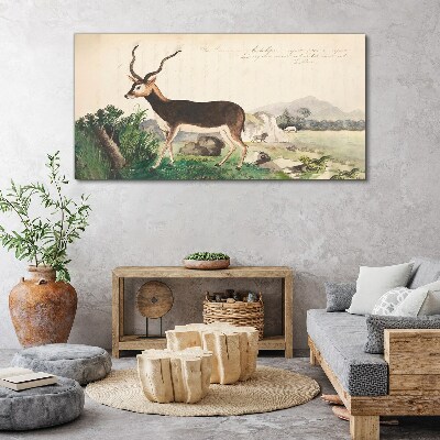 Tableau toile imprimée Antilope dans le paysage