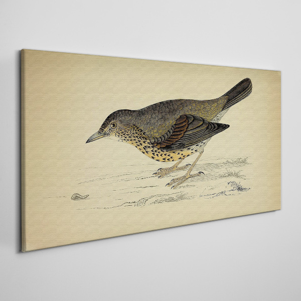 Tableau imprimé sur toile Un oiseau sur fond beige