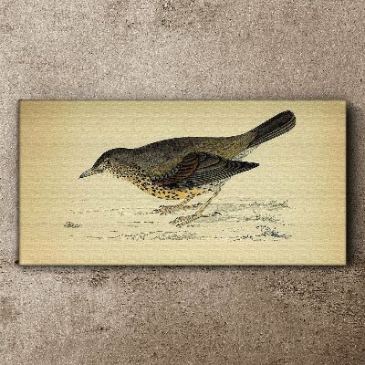 Tableau imprimé sur toile Un oiseau sur fond beige