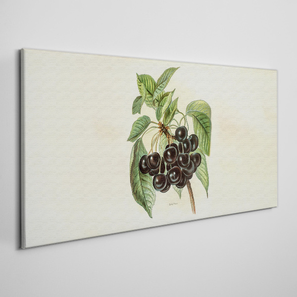 Tableau sur toile Fruit noir sur une branche