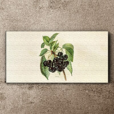 Tableau sur toile Fruit noir sur une branche
