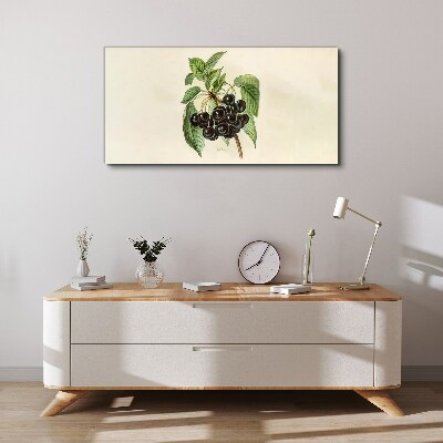 Tableau sur toile Fruit noir sur une branche