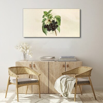 Tableau sur toile Fruit noir sur une branche