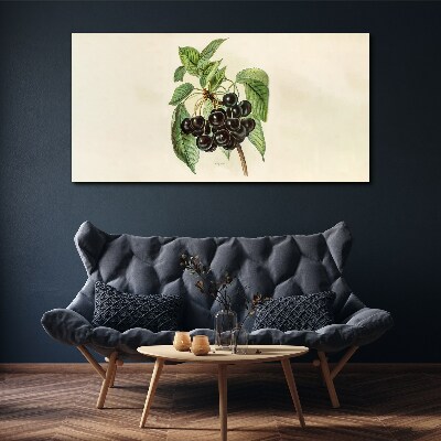 Tableau sur toile Fruit noir sur une branche