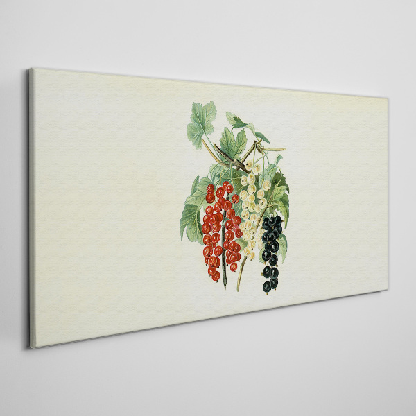 Tableau toile imprimée Bouquet de fruits aux groseilles