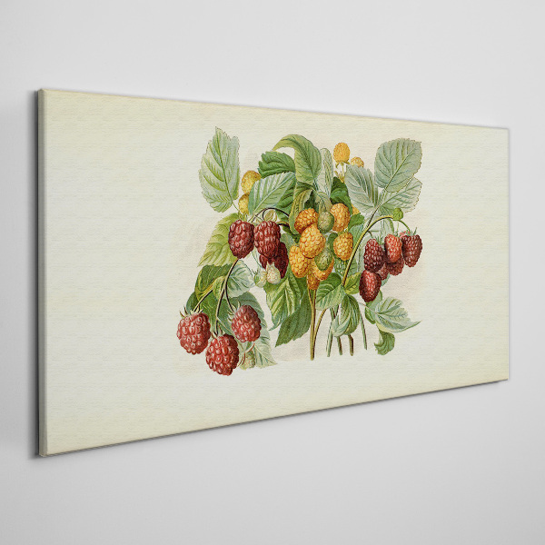 Tableau imprimé sur toile Bouquet fruité de framboises et de mûres
