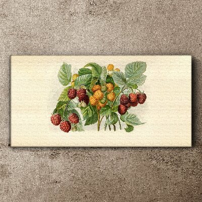 Tableau imprimé sur toile Bouquet fruité de framboises et de mûres