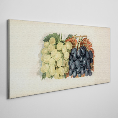 Tableau sur toile Raisins en harmonie de couleurs