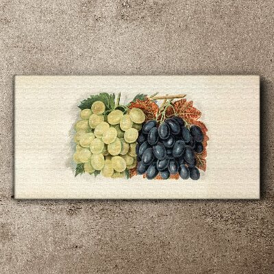 Tableau sur toile Raisins en harmonie de couleurs
