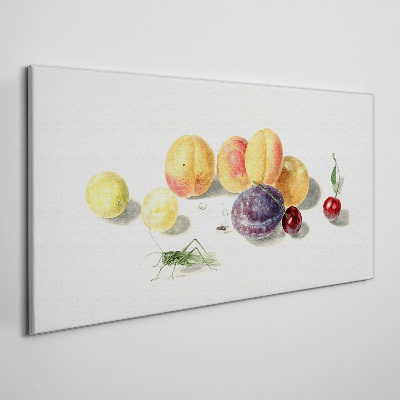 Tableau sur toile Fruits sur fond blanc