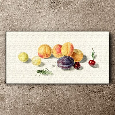 Tableau sur toile Fruits sur fond blanc