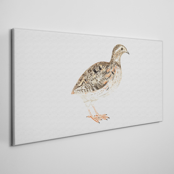 Tableau sur toile Oiseau sur fond blanc