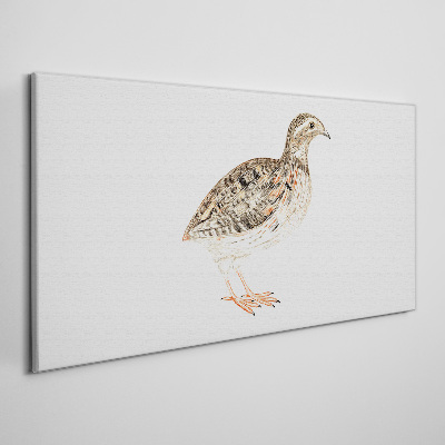 Tableau sur toile Oiseau sur fond blanc
