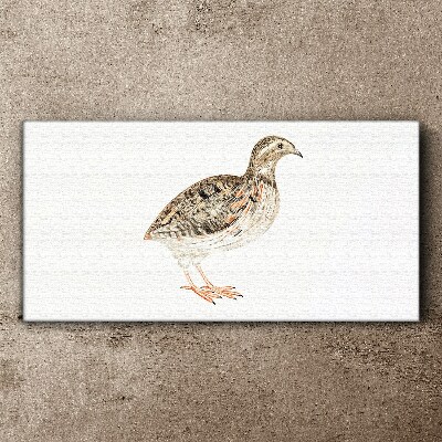 Tableau sur toile Oiseau sur fond blanc