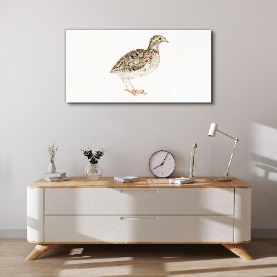 Tableau sur toile Oiseau sur fond blanc