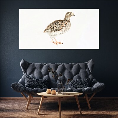 Tableau sur toile Oiseau sur fond blanc