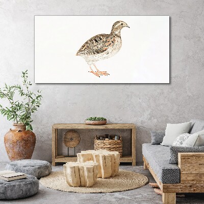 Tableau sur toile Oiseau sur fond blanc
