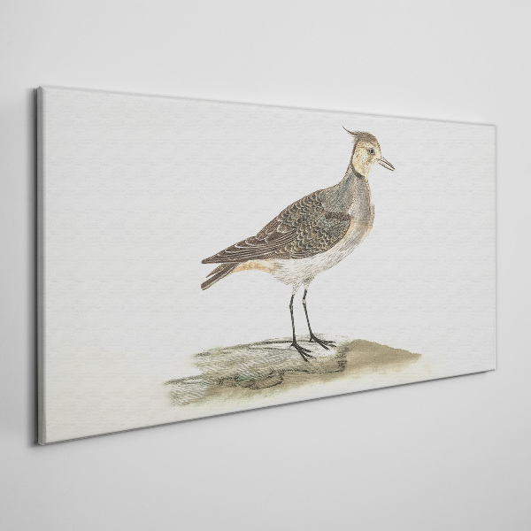 Tableau imprimé sur toile Un oiseau élégant sur fond naturel