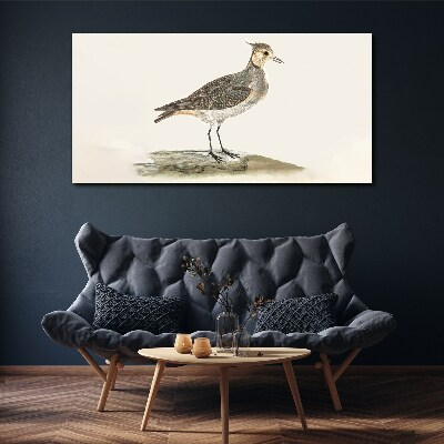 Tableau imprimé sur toile Un oiseau élégant sur fond naturel